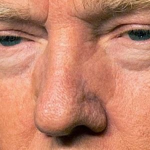 Meet your Posher, Drake